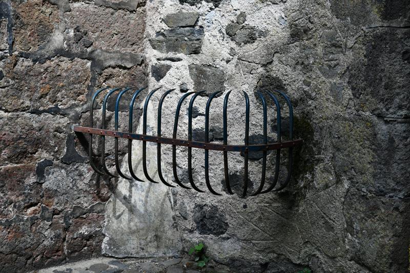 min 2023 08 13 Salers 141